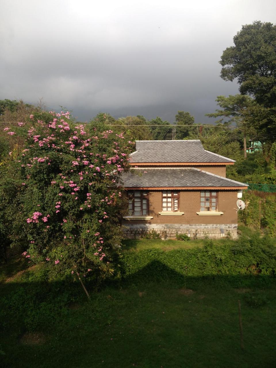 Blossoms Village Resort Dharamshala Exterior foto