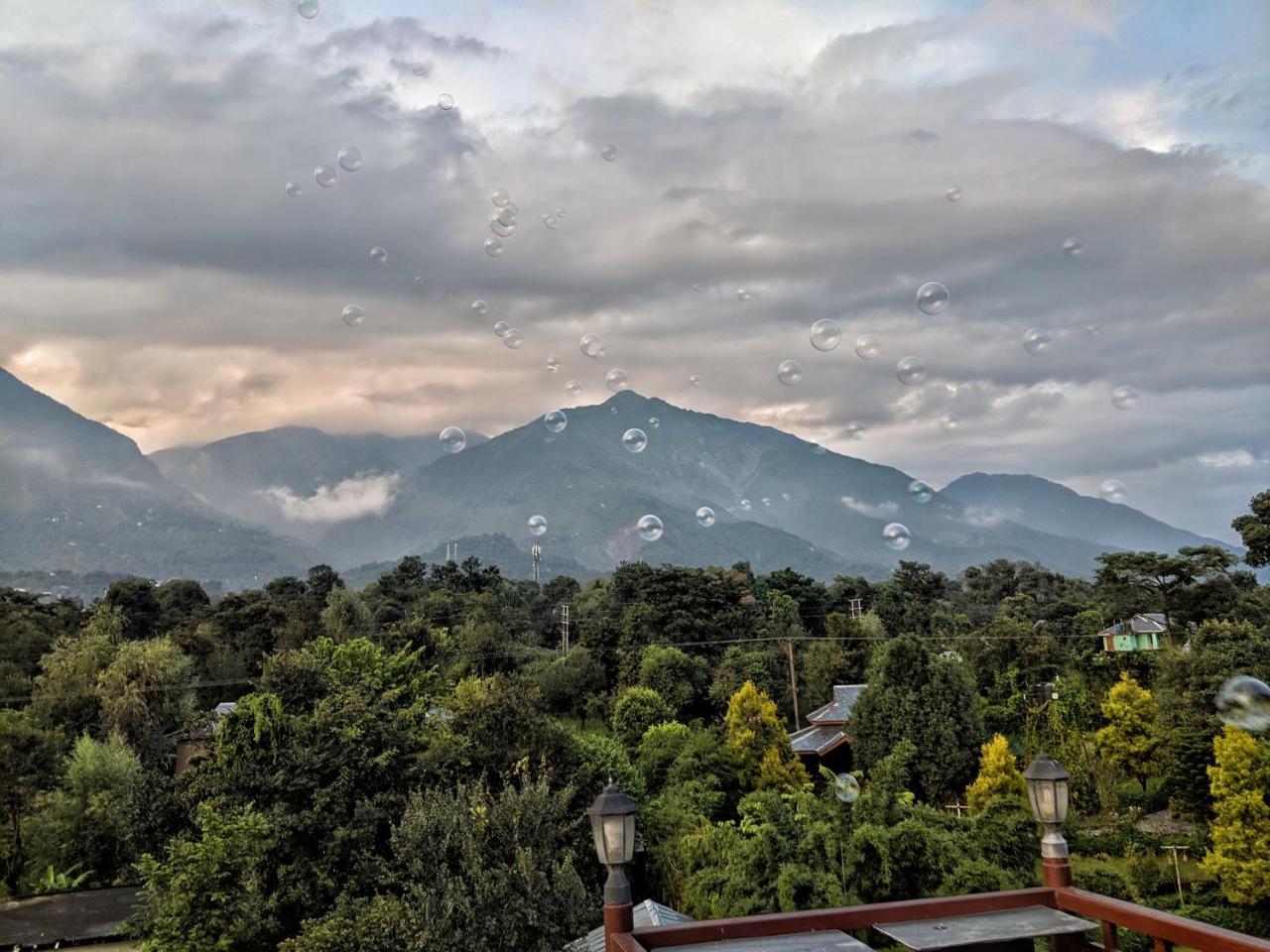 Blossoms Village Resort Dharamshala Exterior foto